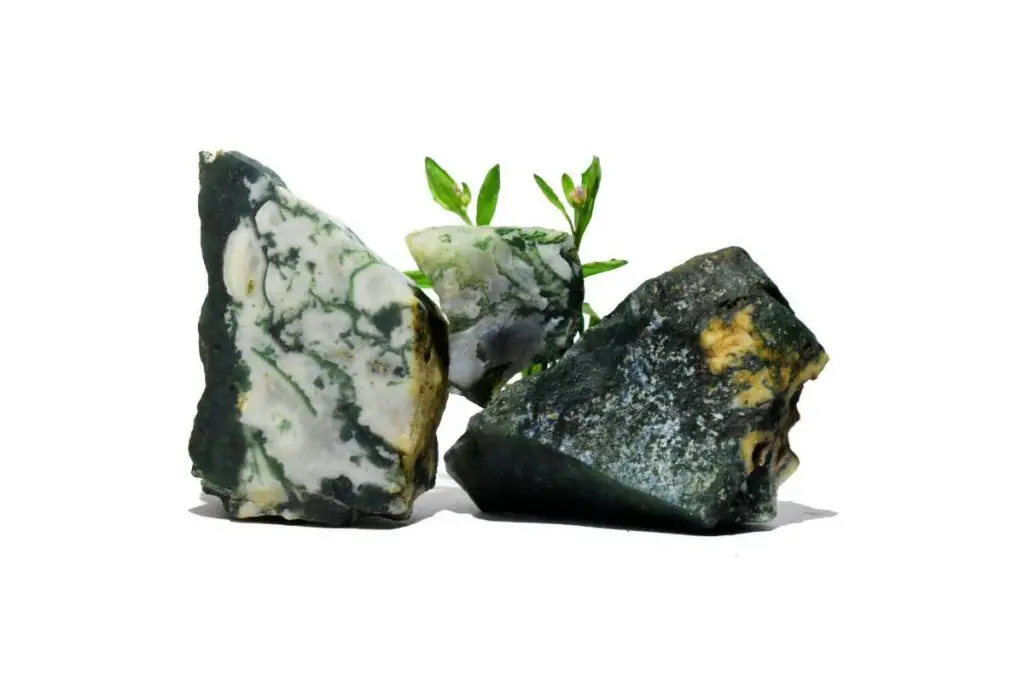 Tree Agate The Only Guide You Need Gemstonist