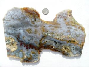 ocean jasper meaning